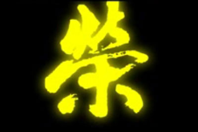 09年(nian)度大(da)會